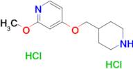 2-methoxy-4-[(piperidin-4-yl)methoxy]pyridine dihydrochloride