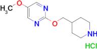 5-methoxy-2-[(piperidin-4-yl)methoxy]pyrimidine hydrochloride