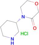 4-[(3S)-Piperidin-3-yl]morpholin-3-one hydrochloride