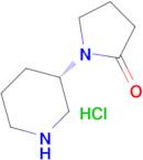 1-[(3S)-Piperidin-3-yl]pyrrolidin-2-one hydrochloride