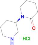 (3'R)-[1,3'-Bipiperidin]-2-one hydrochloride