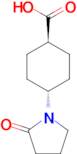 (1R*,4R*)-4-(2-oxopyrrolidin-1-yl)cyclohexane-1-carboxylic acid