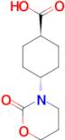 (1R*,4R*)-4-(2-oxo-1,3-oxazinan-3-yl)cyclohexane-1-carboxylic acid