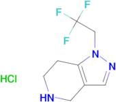 1-(2,2,2-Trifluoroethyl)-1H,4H,5H,6H,7H-pyrazolo[4,3-c]pyridine hydrochloride