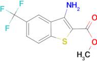 methyl 3-amino-5-(trifluoromethyl)benzo[b]thiophene-2-carboxylate