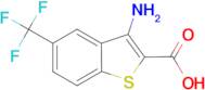 3-amino-5-(trifluoromethyl)benzo[b]thiophene-2-carboxylic acid