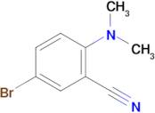 5-bromo-2-(dimethylamino)benzonitrile