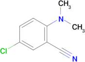 5-chloro-2-(dimethylamino)benzonitrile