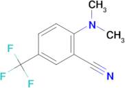 2-(dimethylamino)-5-(trifluoromethyl)benzonitrile