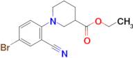 ethyl 1-(4-bromo-2-cyanophenyl)piperidine-3-carboxylate