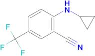 2-(cyclopropylamino)-5-(trifluoromethyl)benzonitrile