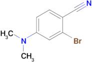 2-bromo-4-(dimethylamino)benzonitrile