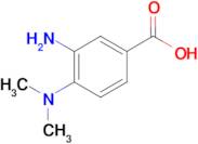 3-amino-4-(dimethylamino)benzoic acid