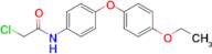 p-(Chloroacetamido)phenyl p-ethoxyphenyl ether