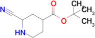 4-Boc-2-cyanopiperidine