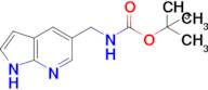 Carbamic acid, N-(1H-pyrrolo[2,3-b]pyridin-5-ylmethyl)-, 1,1-dimethylethyl ester