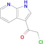 2-chloro-1-{1H-pyrrolo[2,3-b]pyridin-3-yl}ethan-1-one