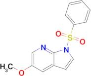 5-methoxy-1-(phenylsulfonyl)-1H-Pyrrolo[2,3-b]pyridine