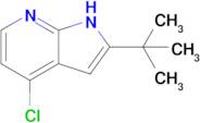 2-(tert-Butyl)-4-chloro-1H-pyrrolo[2,3-b]pyridine