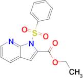 1-(phenylsulfonyl)-1H-Pyrrolo[2,3-b]pyridine-2-carboxylic acid ethyl ester