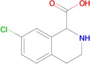 7-chloro-1,2,3,4-tetrahydroisoquinoline-1-carboxylic acid