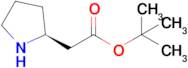 (S)-Pyrrolidin-2-yl-acetic acid tert-butyl ester