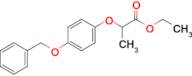 Ethyl 2-(4-benzyloxyphenoxy)propionate