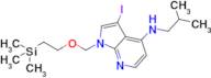 3-iodo-N-(2-methylpropyl)-1-[[2-(trimethylsilyl)ethoxy]methyl]-1H-Pyrrolo[2,3-b]pyridin-4-amine