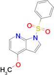 1H-Pyrrolo[2,3-b]pyridine, 4-methoxy-1-(phenylsulfonyl)-