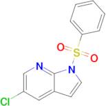 1H-Pyrrolo[2,3-b]pyridine, 5-chloro-1-(phenylsulfonyl)-