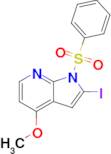 2-iodo-4-methoxy-1-(phenylsulfonyl)-1H-Pyrrolo[2,3-b]pyridine