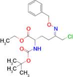 (S,E)-ethyl 5-((benzyloxy)imino)-2-((tert-butoxycarbonyl)amino)-6-chlorohexanoate