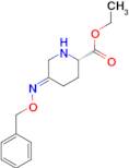(S,E)-ethyl 5-((benzyloxy)imino)piperidine-2-carboxylate