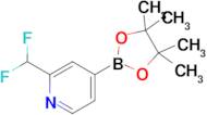 2-(Difluoromethyl)-4-(4,4,5,5-tetramethyl-1,3,2-dioxaborolan-2-yl)pyridine