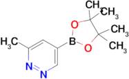 3-Methyl-5-(4,4,5,5-tetramethyl-1,3,2-dioxaborolan-2-yl)pyridazine