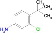 4-(tert-Butyl)-3-chloroaniline