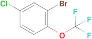 2-Bromo-4-chloro-1-(trifluoromethoxy)benzene