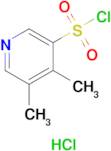 4,5-Dimethylpyridine-3-sulfonyl chloride hydrochloride