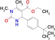 ethyl 4-(4-(tert-butyl)phenyl)-1,6-dimethyl-2-oxo-1,2,3,4-tetrahydropyrimidine-5-carboxylate