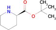 tert-butyl (2R)-piperidine-2-carboxylate