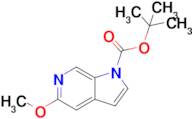 tert-Butyl 5-methoxy-1H-pyrrolo[2,3-c]pyridine-1-carboxylate