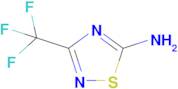 3-(Trifluoromethyl)-1,2,4-thiadiazol-5-amine