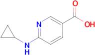 3-Pyridinecarboxylic acid, 6-(cyclopropylamino)-