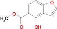 methyl 4-hydroxy-1-benzofuran-5-carboxylate