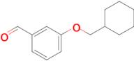 3-(Cyclohexylmethoxy)benzaldehyde