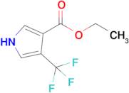 Ethyl 4-(trifluoromethyl)-1H-pyrrole-3-carboxylate