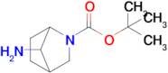 tert-Butyl 7-amino-2-azabicyclo[2.2.1]heptane-2-carboxylate