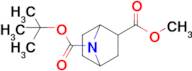 7-tert-Butyl 2-methyl 7-azabicyclo[2.2.1]heptane-2,7-dicarboxylate