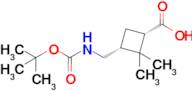 (1S,3R)-2,2-Dimethyl-3-[[(2-methylpropan-2-yl)oxycarbonylamino]methyl]cyclobutane-1-carboxylic acid