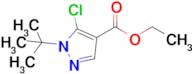 ethyl 1-tert-butyl-5-chloropyrazole-4-carboxylate